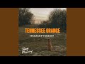 Tennessee Orange Breakup Version