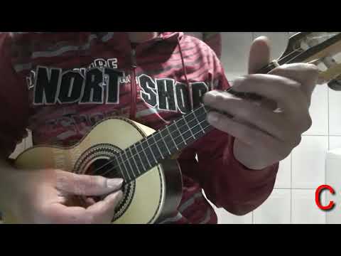 De Sampa À São Luiz - Jorge Aragão
