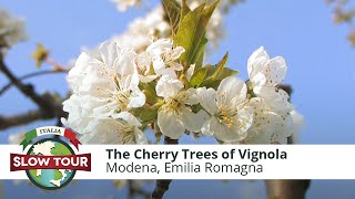 preview picture of video 'The Cherry Trees of Vignola | Italia Slow Tour'