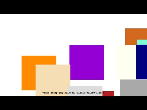 Video #sftp-pkg-20170427-211017-861058-1_of_1