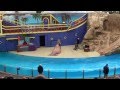 SeaWorld Orlando Clyde And Seamore Take Pirate Island Complete Full Video