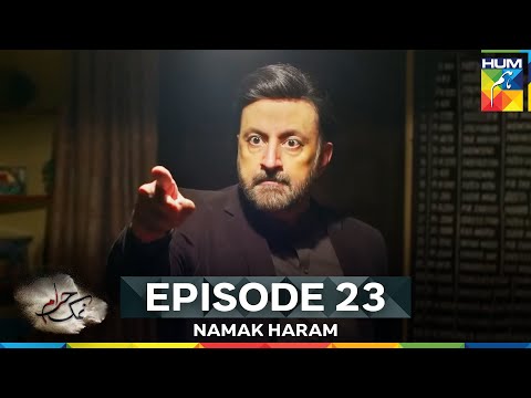 Namak Haram Episode 23