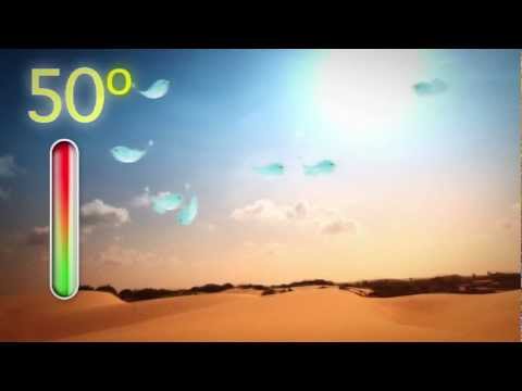 Laaaf’s Video 1231750434 1dIjEn_mRK8