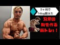 3ヶ月で14kg増えた!刃牙の胸を作る筋トレ!【VLOG】