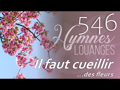 546 - H&L - Il faut cueillir les fleurs #hymnesetlouanges