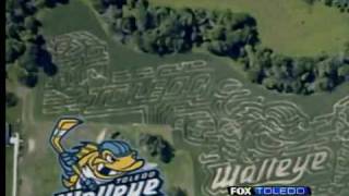 preview picture of video 'Whitehouse corn maze features Walleye hockey'