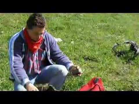 Cavalieri del Cervato