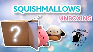 SQUISHMALLOWS UNBOXING 📦 Owl and Goose Gifts/ RELAXING/ASMR