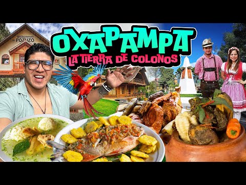 “OXAPAMPA: el paraíso alemán del Perú que tienes que conocer 🇩🇪🇵🇪”