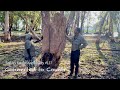 What Can We Learn from the Aboriginals' Connection to Country for Our Own Survival?  (SfS #127)