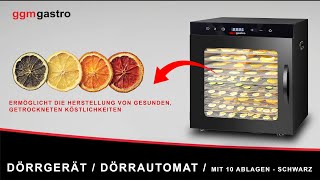 Essiccatore alimentare professionale - con 10 ripiani - acciaio inox - 800W