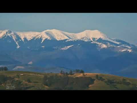 Sunetele primăverii. Munții Țibleșului, Maramureș.