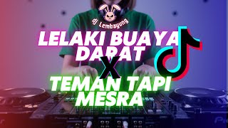 Download lagu DJ LELAKI BUAYA DARAT X TEMAN TAPI MESRA – DJ LEMBAYUNG mp3 Download lagu DJ LELAKI BUAYA DARAT X TEMAN TAPI MESRA – DJ LEMBAYUNG mp3