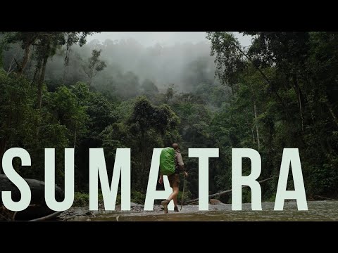 EXPEDITION ARTENSCHUTZ – Folge 1: Die letzten Orang-Utans Sumatras