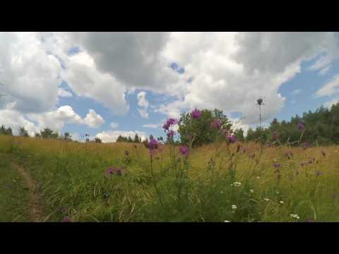 Bożniowa, Trzebinia