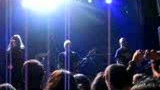 paradise lost-ash and debris