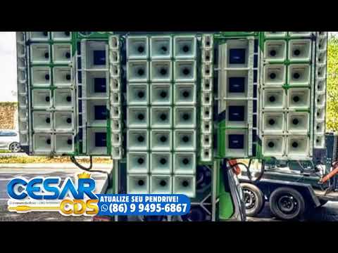 SELEÇÃO DE SWINGUEIRA PRA PAREDÃO NOVEMBRO 2025 - CESAR CDS