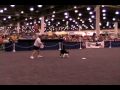 Mojo And Mark Performing At 2009 Reliant Frisbee Dog Show