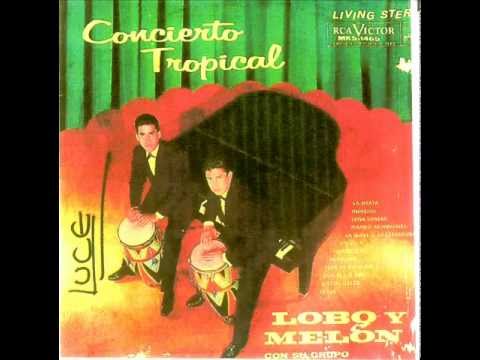 La jirafa   Lobo y Melón   by Juan Navarro