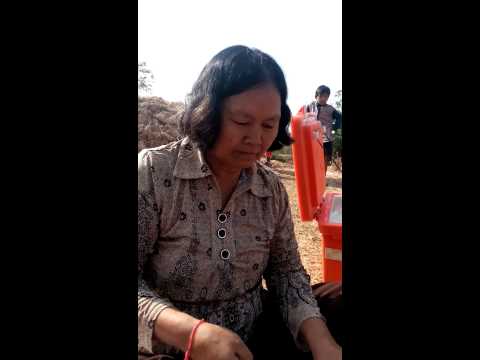 Cheng Meng 29 March 2015