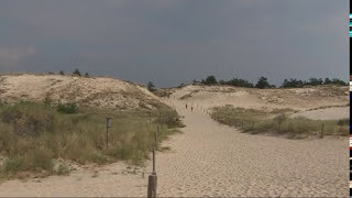 Wydmy ruchome (Leba dunes), Poland 2