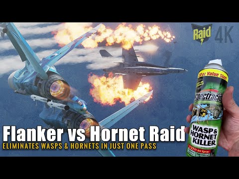 DCS World Online Guide Russian Flanker Su-27 vs F-18 Hornet low altitude tactics