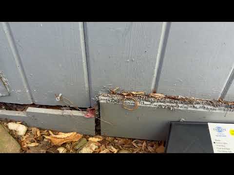 Failure to Close Up Old Exhaust Vents Leads to Mice Infestation in West Windsor, NJ