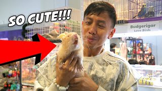 Visiting a Plant & Pet Expo in Manila, Philippines 💚 | Vlog #1790