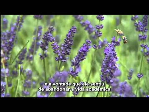 video thumnail