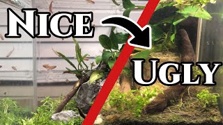 Smallest Aquascape Fails Horribly! | 0.5 Gallon Cube | Snail Breeding Project.