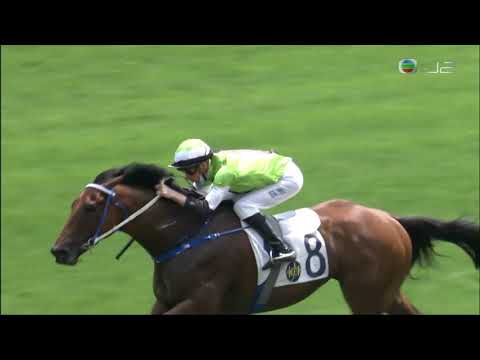 2020/21 (498) - Killer Bee (大紅蜂) - 薛恩 (初出大熱輕鬆取勝)