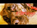 All Them Witches Extra Pleasant 2013 Full EP