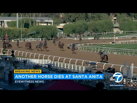 As new season opens, another horse dies at Santa Anita | ABC7