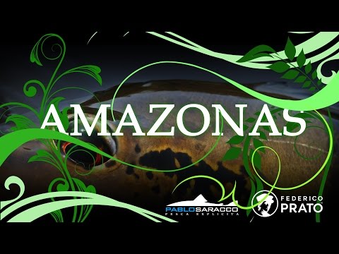 AMAZONAS on
 the fly