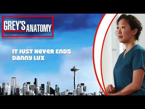 Grey's Anatomy Score - "It Just Never Ends" by Danny Lux (10x24)