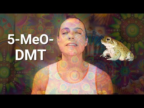 I tried the world's most potent psychedelic: Bufo Alvarius gave me the answer