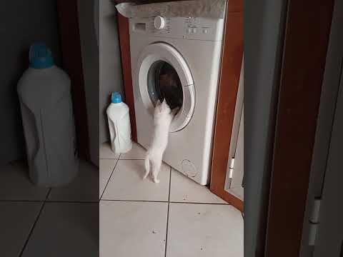 Najeeba new home she is happy