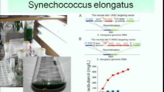 Energy Biosciences Institute Seminar - James C. Liao