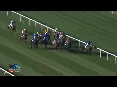 26.02.2015 Meydan (Dubai/UAE) 4.Race Meydan Classic - List 1.400 m