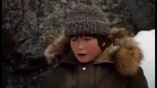The Courage of Kavik The Wolfdog 1980 Full Movie F