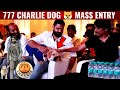 777 Charlie Sj Suriya,Karthik Subburaj | Charlie Dog Mass Entry In Auditorium | 777 Charlie Movie 🔥
