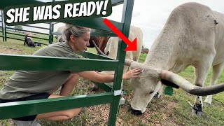 What NOT To Do! (@DossOutdoors)
