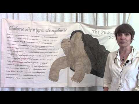 Go Tell It at the Quilt Show! interview with Sherrell Cuneo