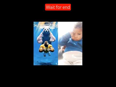 Monkey Outsmarts Bear in Hilarious AI-Powered Cartoon