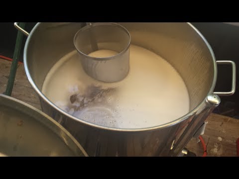 Nelson Sauvin SMaSH Beer Brewday