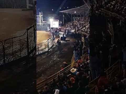 # grande abertura do rodeio em Pinhalão criador de conteúdos #criador