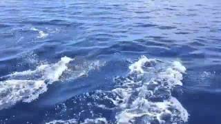 Mare Nostrum ☆ PAOLO FRESU * RICHARD GALLIANO * JAN LUNDGREN