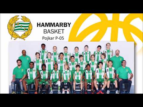 Kaffekorg Hammarby Basket P05