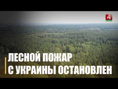 Пагрозы ляснога трансгранічнага пажару з боку Украіны больш няма