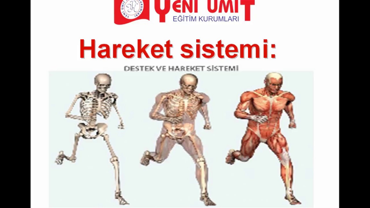 İlk Yardım Uygulama Eğitimi Videosu